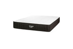 Brooklyn Bedding Titan 11" Hybrid Mattress for Plus Size Sleepers