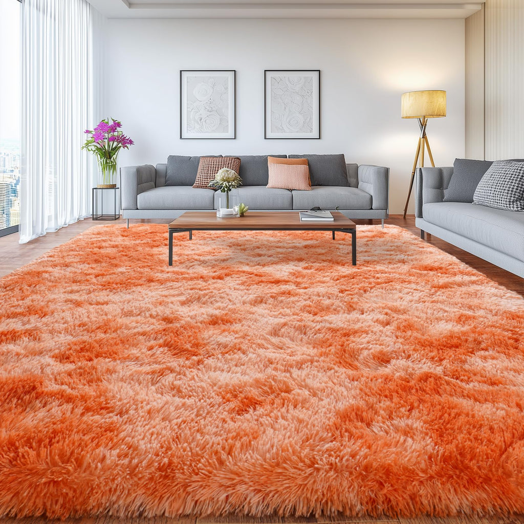 Fluffy Shaggy Area Rug, Soft High Pile, Non-Slip