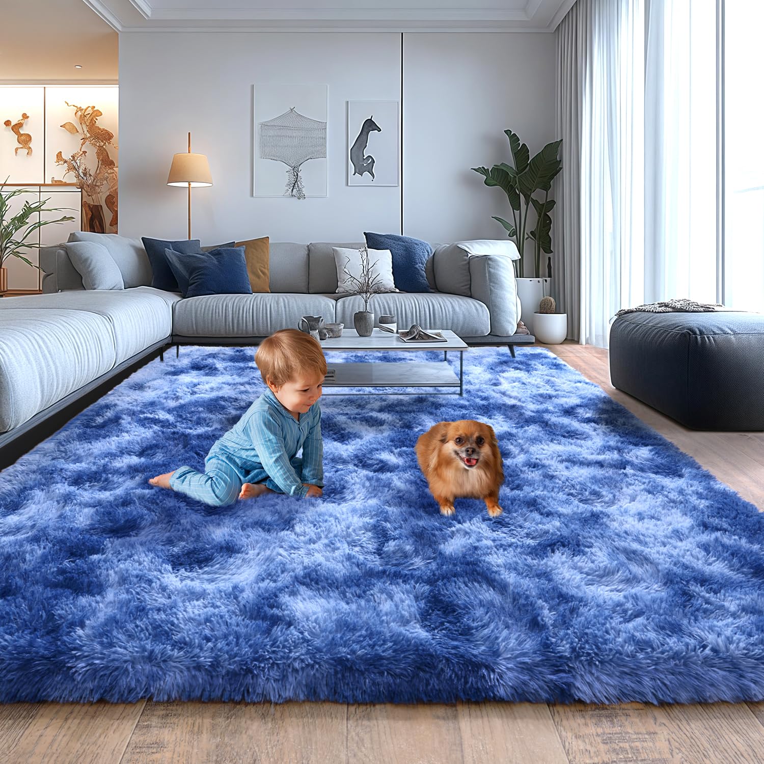 Fluffy Shaggy Area Rug, Soft High Pile, Non-Slip